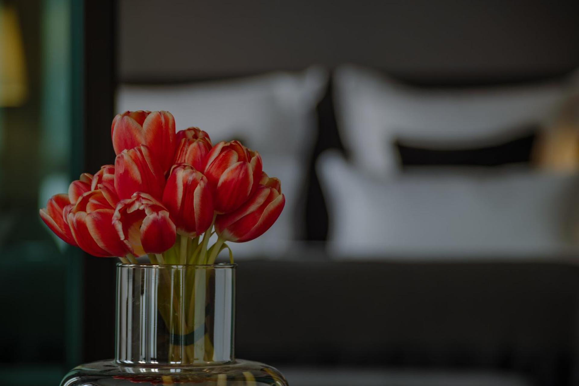 A-Rosa Collection Hotel Ceres Am Meer - Adults Only Binz Esterno foto